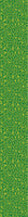 patterned-wallpaper-garden-freshness