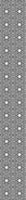 patterned-wallpaper-zebra-stars