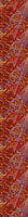 patterned-wallpaper-dots-on-the-way-up