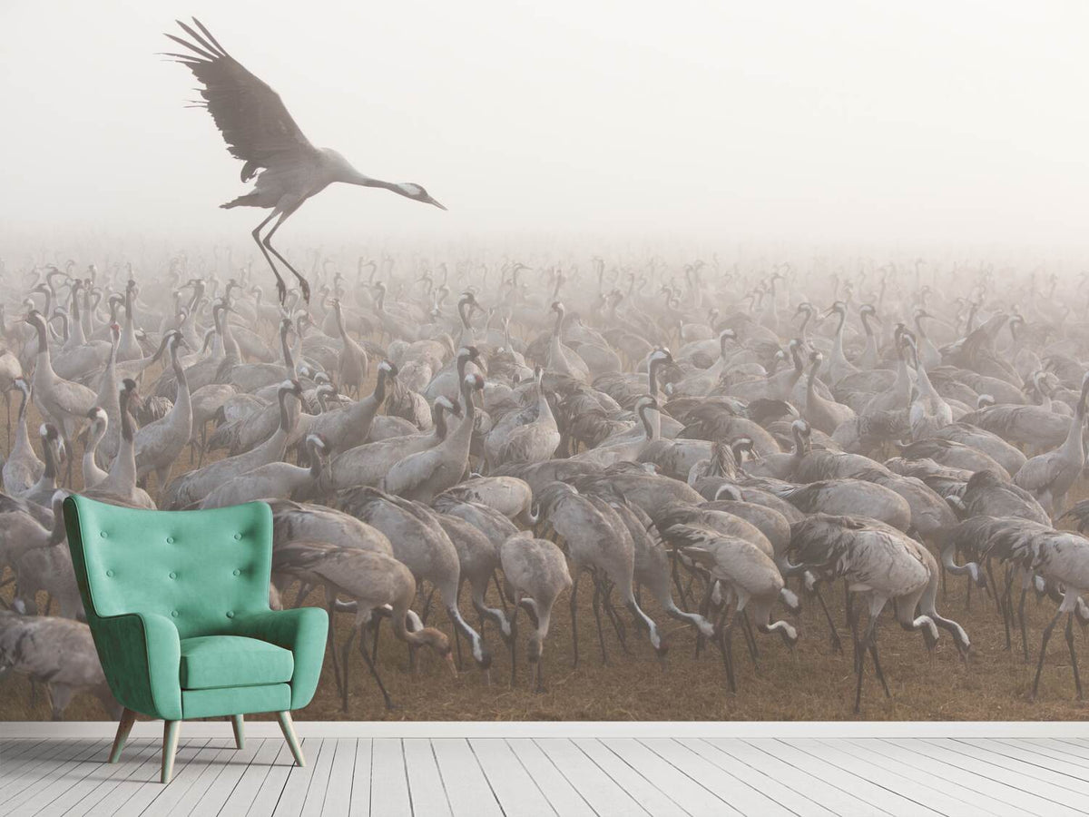 photo-wallpaper-untitled-li-ii