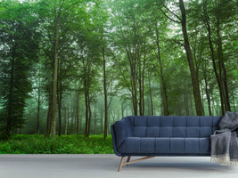 photo-wallpaper-forest-view-x
