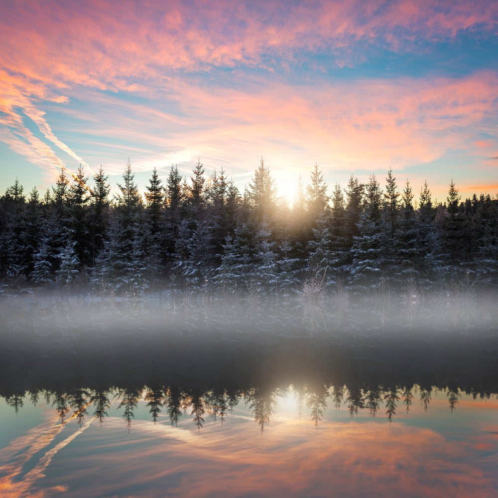 photo-wallpaper-small-lake-in-the-forest