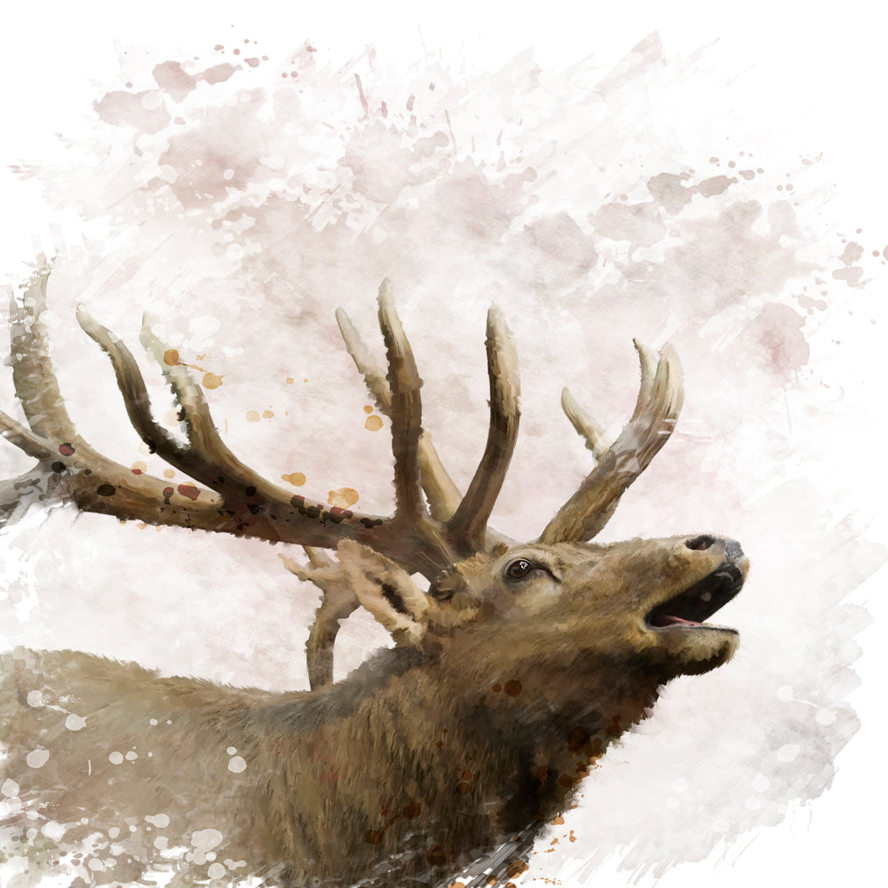 photo-wallpaper-elk-painting