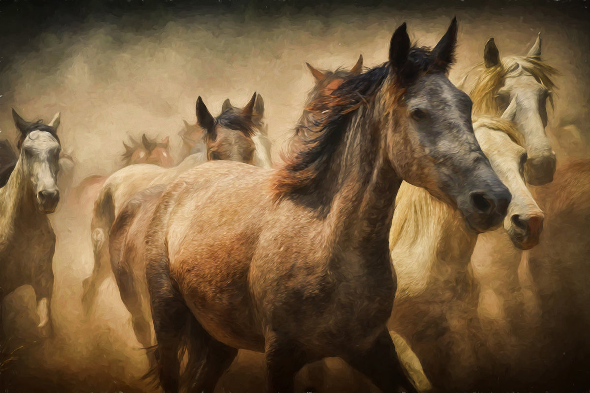 photo-wallpaper-painting-wild-horses