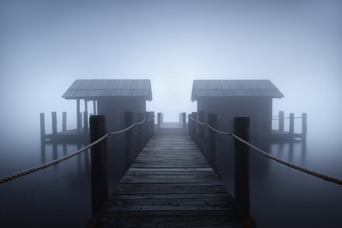 photo-wallpaper-alone-in-the-fog-x