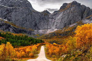 photo-wallpaper-road-to-the-wall-x