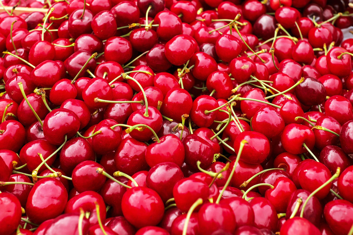 photo-wallpaper-xl-cherries