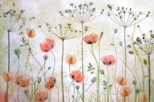 photo-wallpaper-poppy-meadow-x