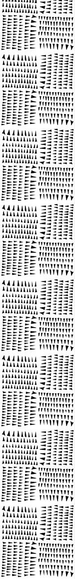 patterned-wallpaper-collection-of-spearheads