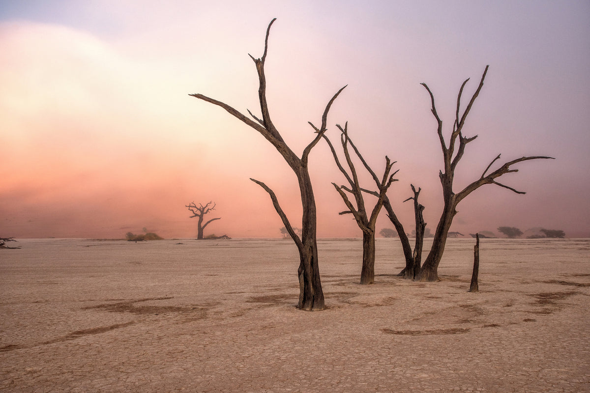 photo-wallpaper-fog-in-deadvlei