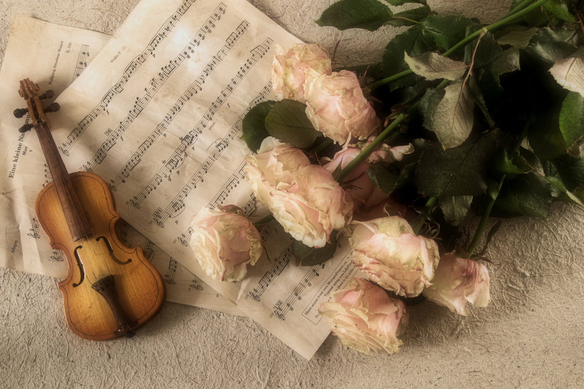 photo-wallpaper-the-violin