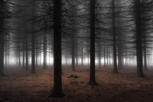 photo-wallpaper-silence-ii