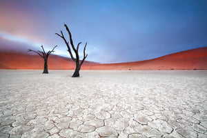 photo-wallpaper-mist-over-deadvlei-x