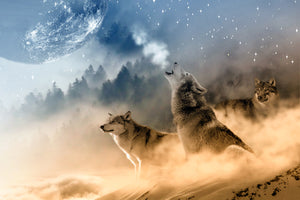 photo-wallpaper-the-world-of-wolves