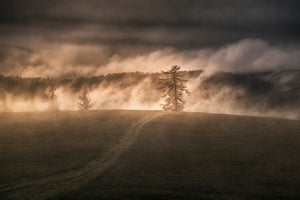 photo-wallpaper-rising-fog-x