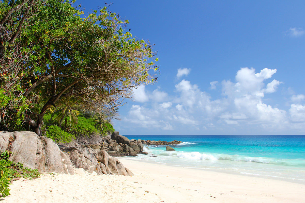 photo-wallpaper-dream-beach-seychelles