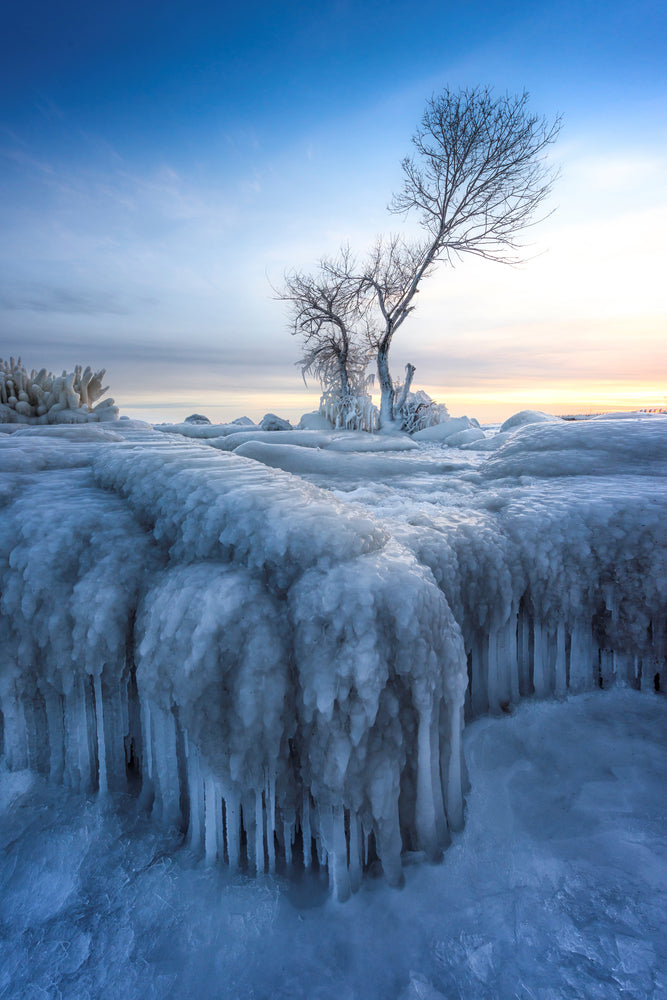 photo-wallpaper-winter-wonderland-a