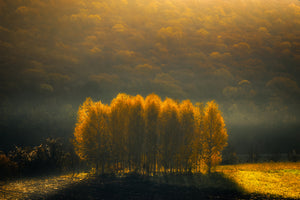 photo-wallpaper-morning-light-xqs