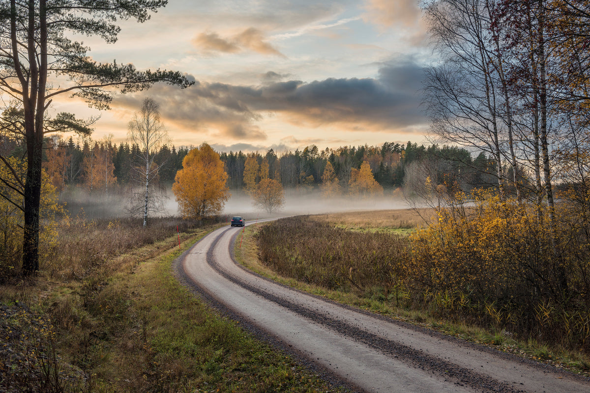 photo-wallpaper-drive-in-autumn-colors-x