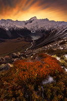 photo-wallpaper-mount-sefton