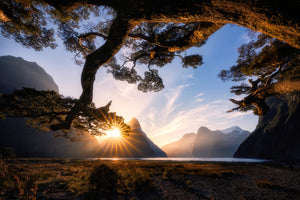 photo-wallpaper-sunny-day-in-milford-sound-x