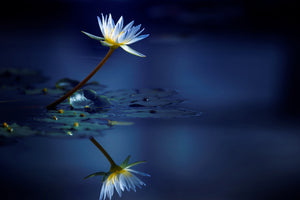 photo-wallpaper-reflection-xdb