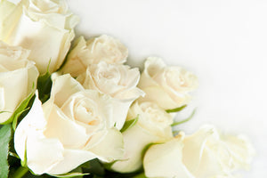 photo-wallpaper-white-roses