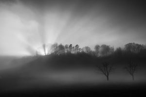 photo-wallpaper-the-sun-in-the-fog