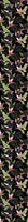 patterned-wallpaper-paradise-birds