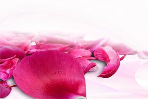 photo-wallpaper-rose-petals-in-pink-iii