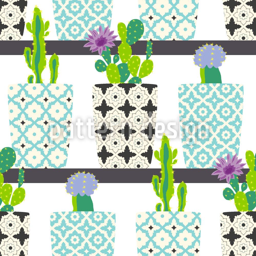 patterned-wallpaper-cactus-pots-on-shelves