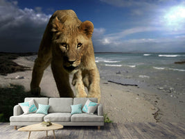 photo-wallpaper-a-lioness-on-the-beach