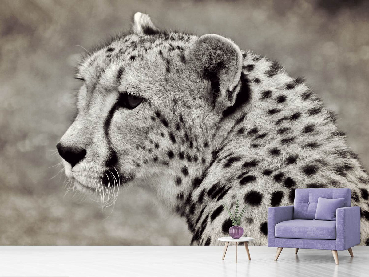 photo-wallpaper-beautiful-cheetah