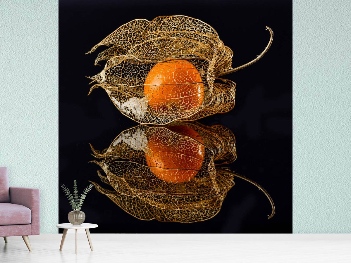 photo-wallpaper-physalis