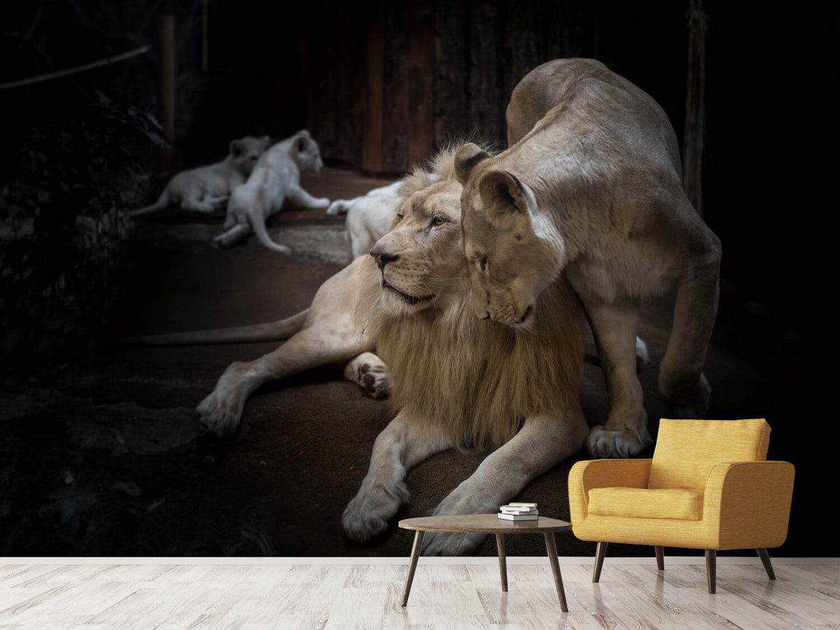 photo-wallpaper-the-lion-couple