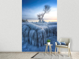 photo-wallpaper-winter-wonderland-a