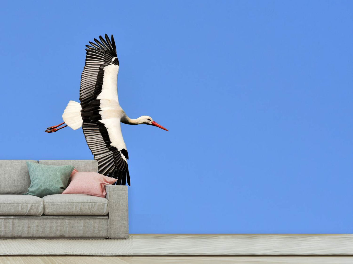 photo-wallpaper-the-stork-in-action