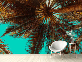 photo-wallpaper-my-place-under-the-palm-trees