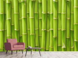 photo-wallpaper-bamboo-wall