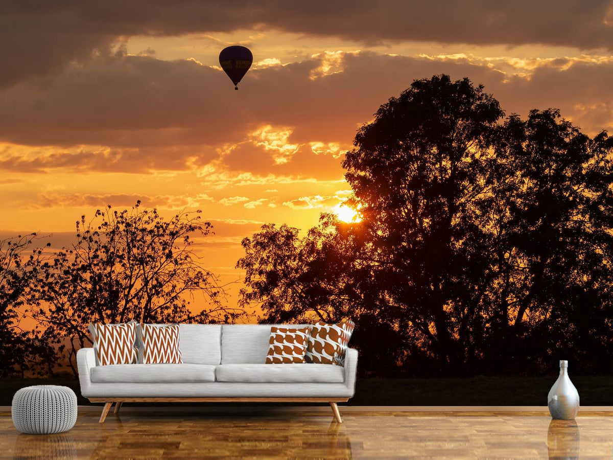 photo-wallpaper-towards-the-sun-with-the-hot-air-balloon