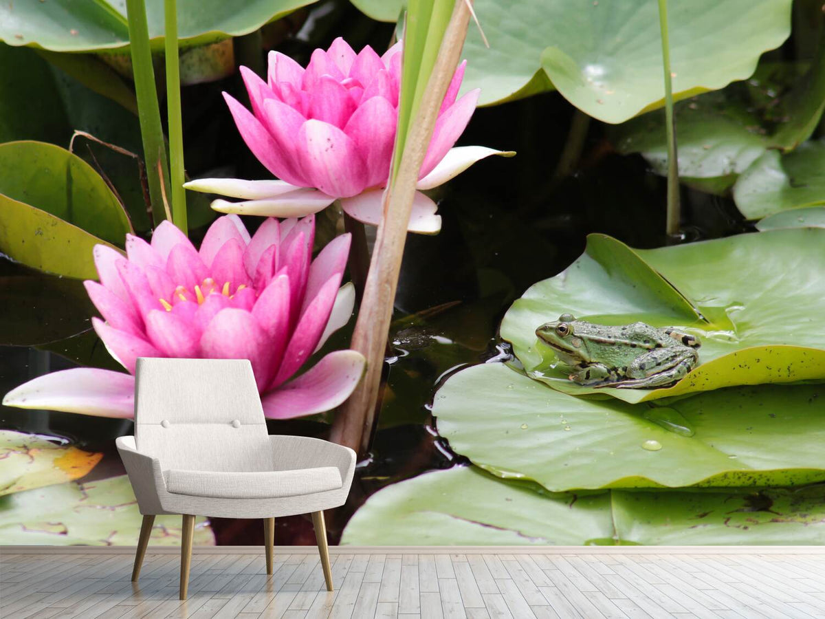 photo-wallpaper-the-frog-in-the-protection-of-water-lilies