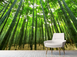 photo-wallpaper-the-bamboo-forest