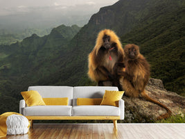 photo-wallpaper-gelada-baboons-xep