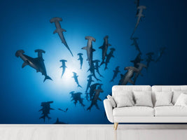 photo-wallpaper-hammerhead-sharks-in-the-light