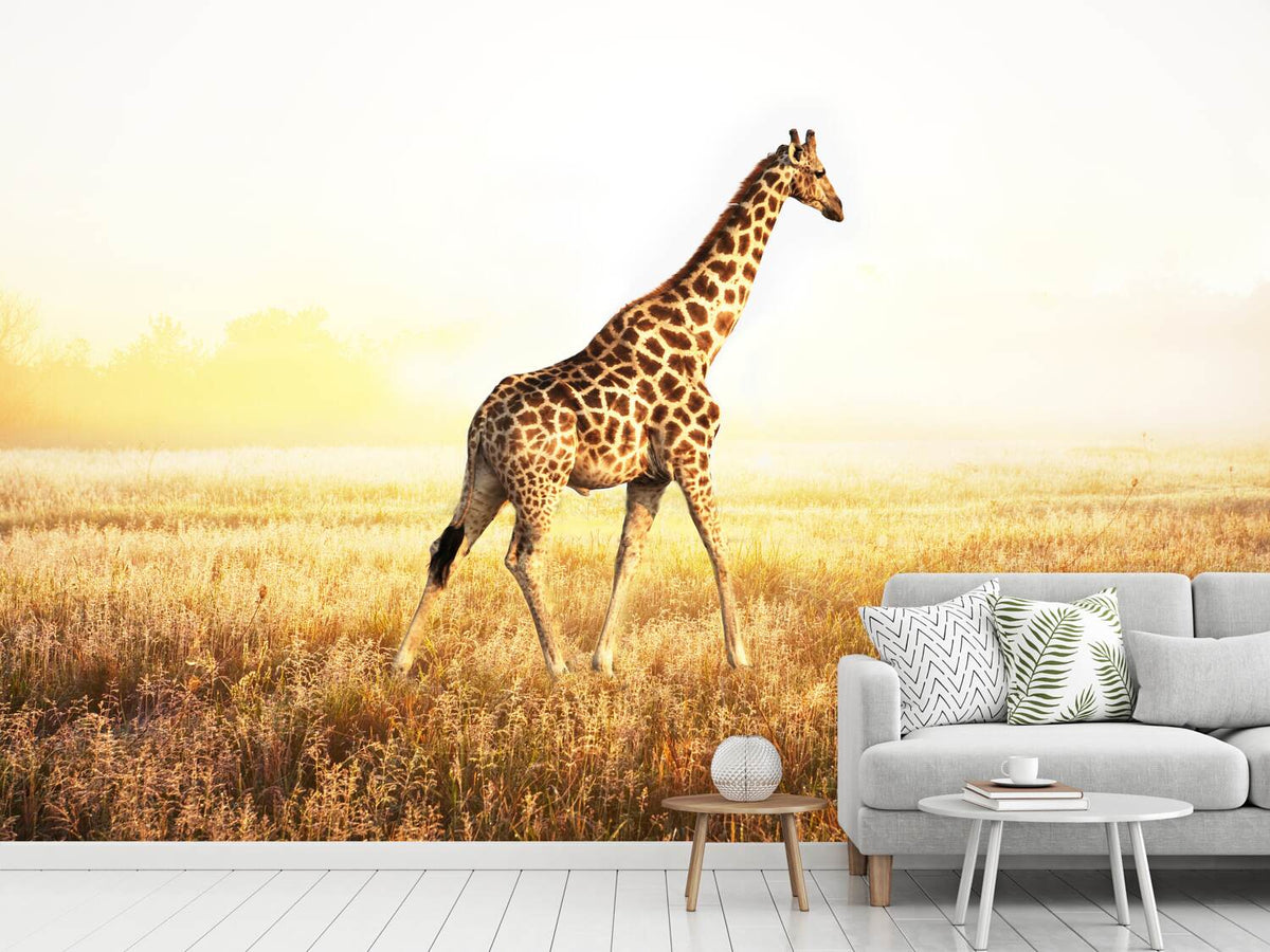 photo-wallpaper-the-giraffe