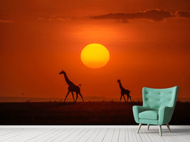 photo-wallpaper-giraffes-in-the-sunset-x