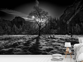 photo-wallpaper-the-winter-spirit