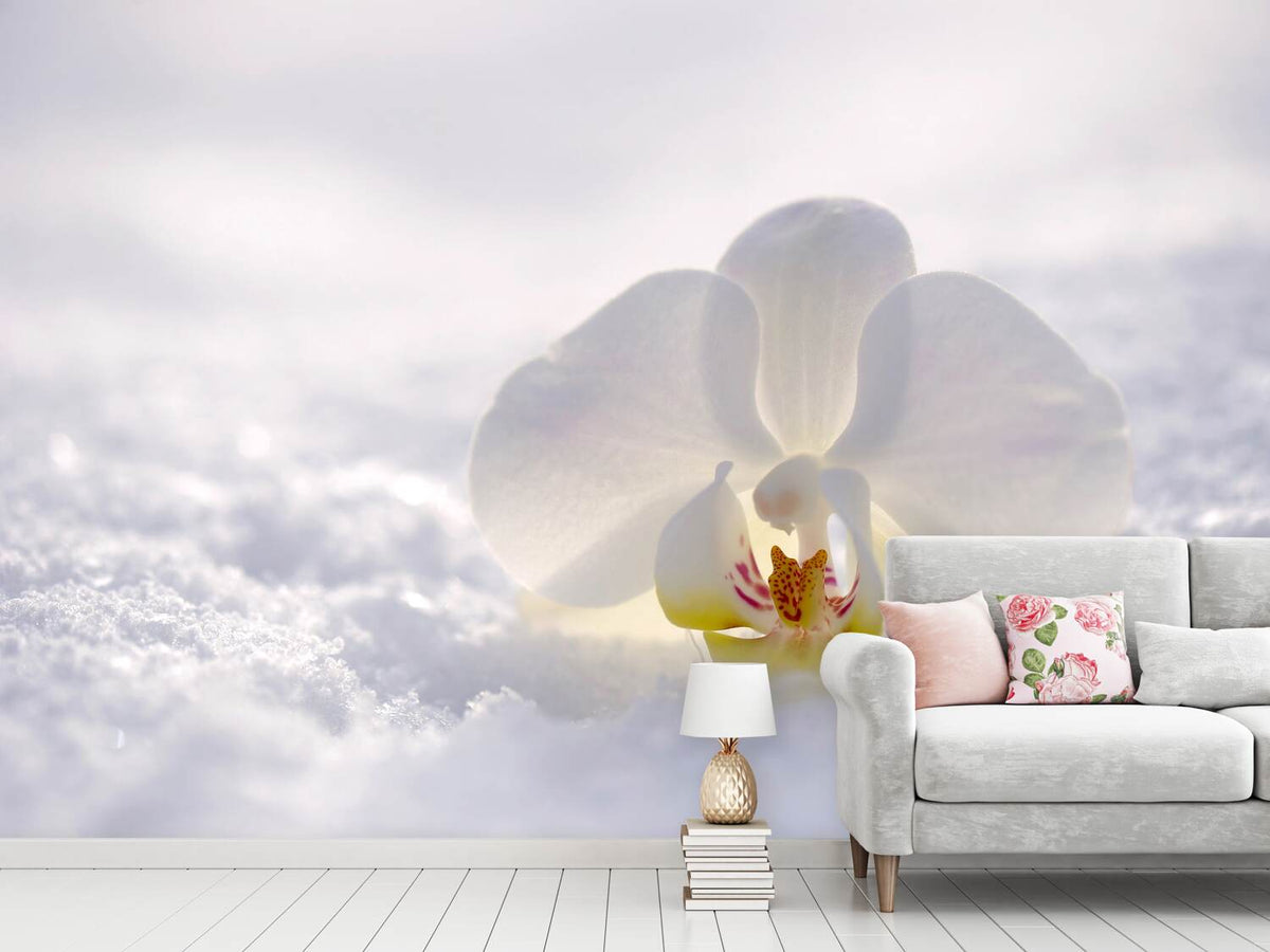 photo-wallpaper-the-orchids-bloom