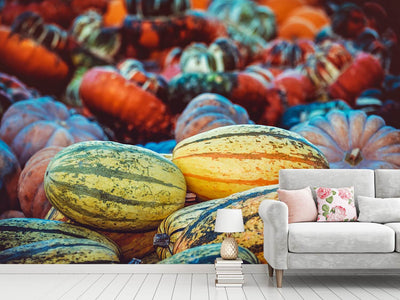 photo-wallpaper-pumpkin-types