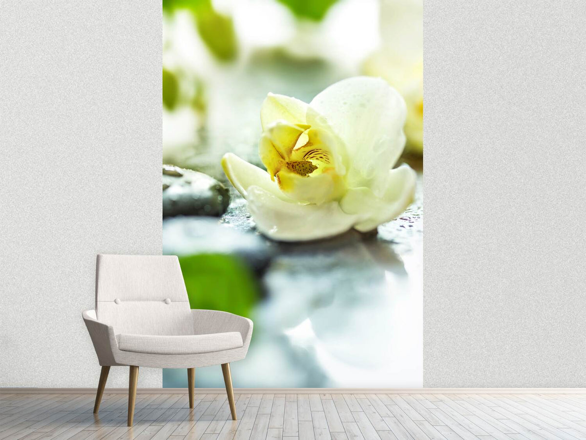 photo-wallpaper-zen-orchid